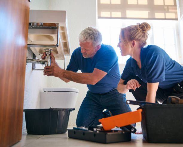 Best Local Plumber Services  in Argo, AL